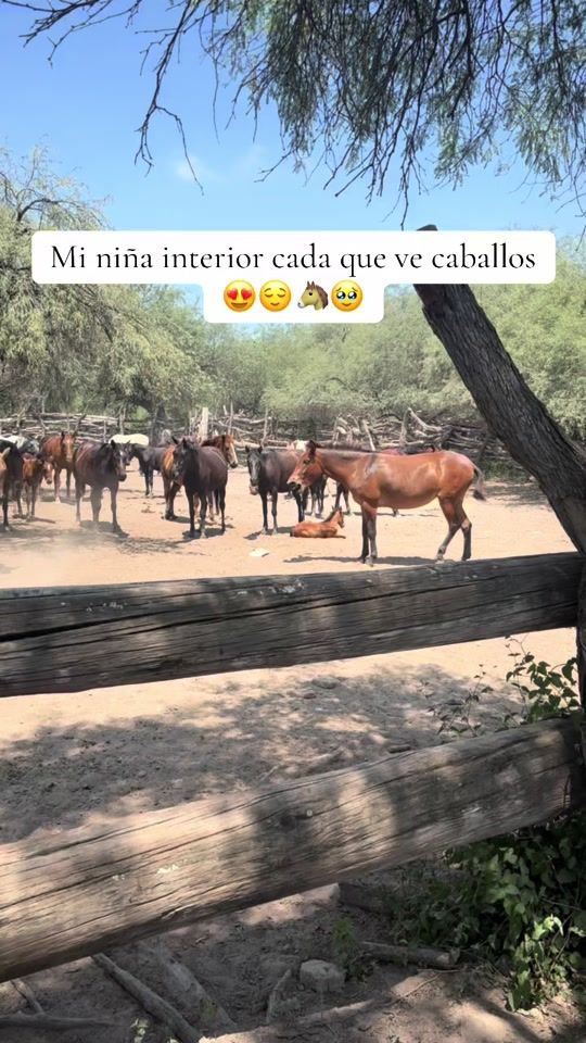 TikTok video thumbnail by alerrey0