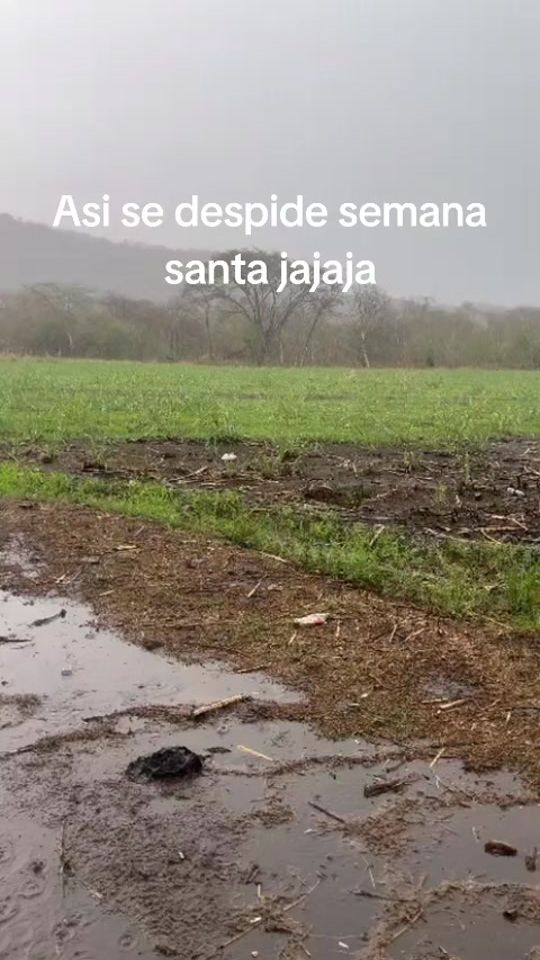 TikTok video thumbnail by chemis_100