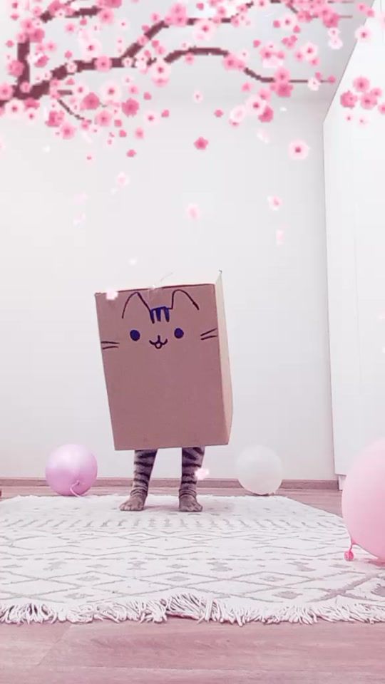 TikTok video thumbnail by .3659120