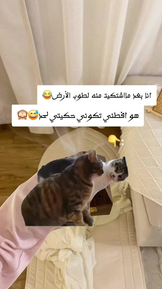 TikTok video thumbnail by 3leen07