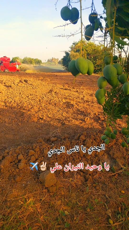 TikTok video thumbnail by nnffmm123