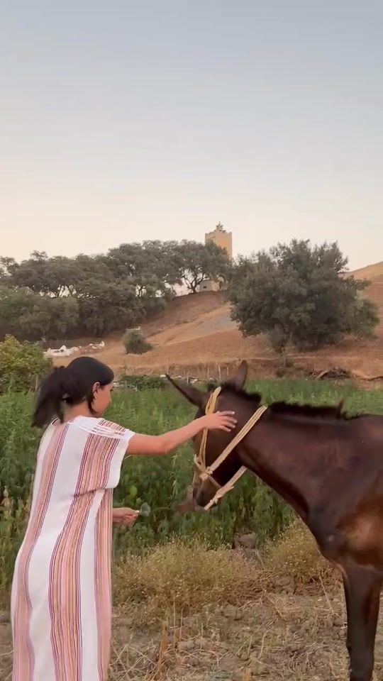 TikTok video thumbnail by h891fs6