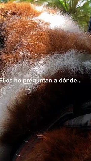 TikTok video thumbnail by cabify_colombia