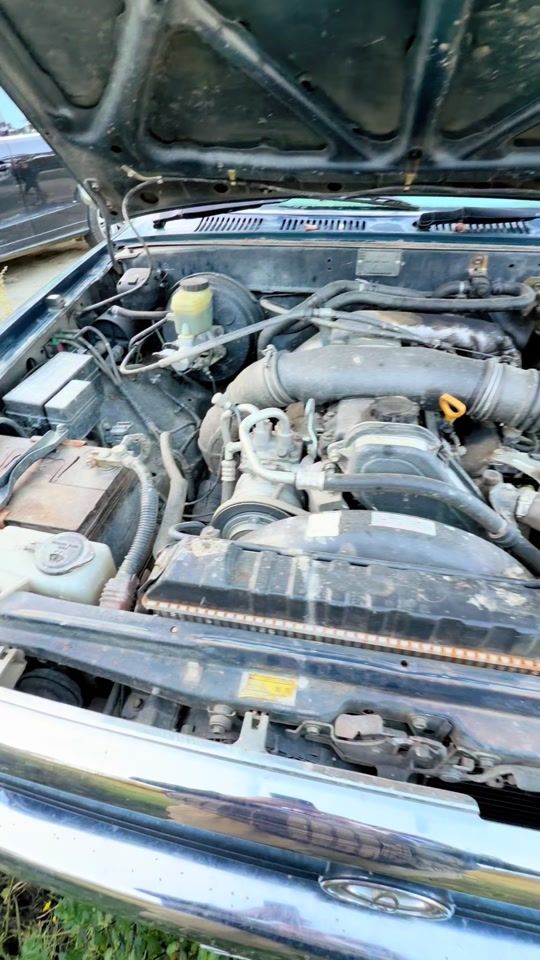 TikTok video thumbnail by nzdeerfarming