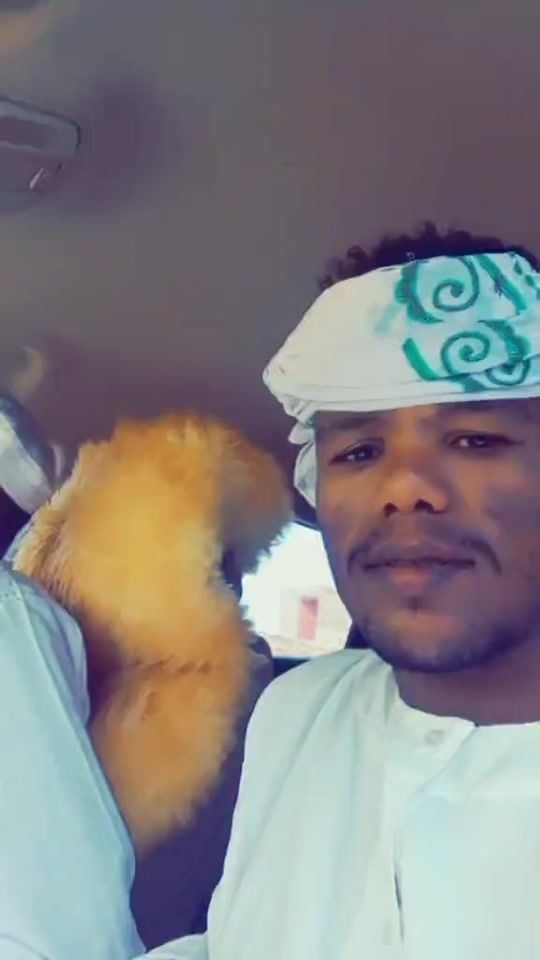 TikTok video thumbnail by absken