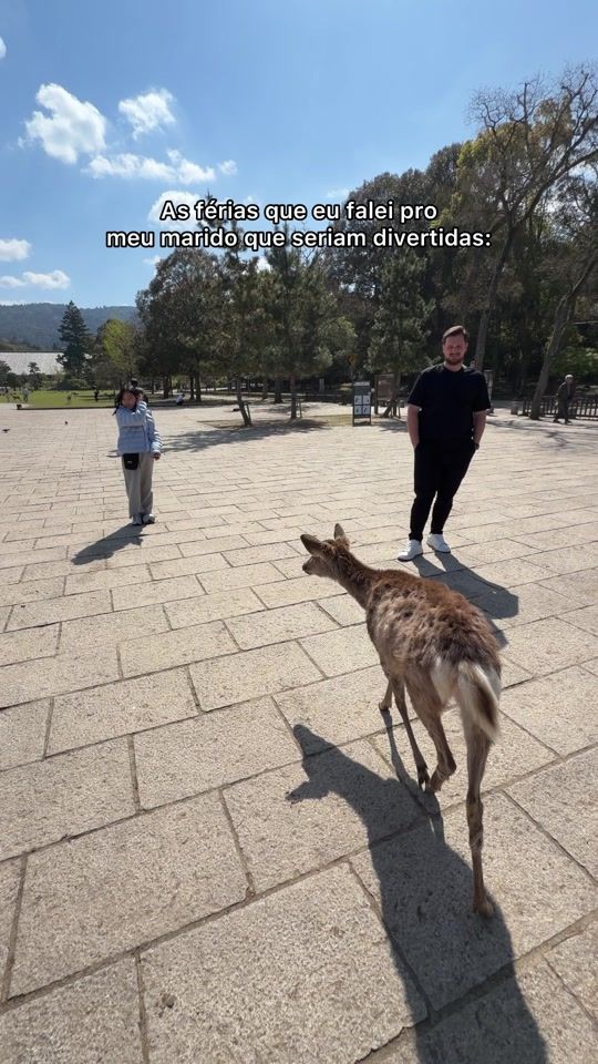 TikTok video thumbnail by leticiastuchi