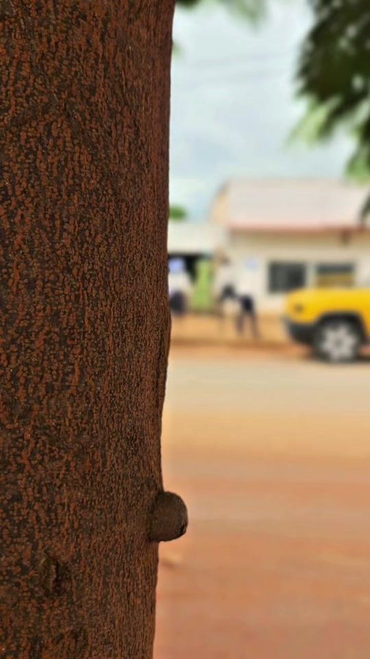 TikTok video thumbnail by aea_3_12_1994