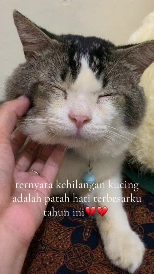 TikTok video thumbnail by trsmhrni