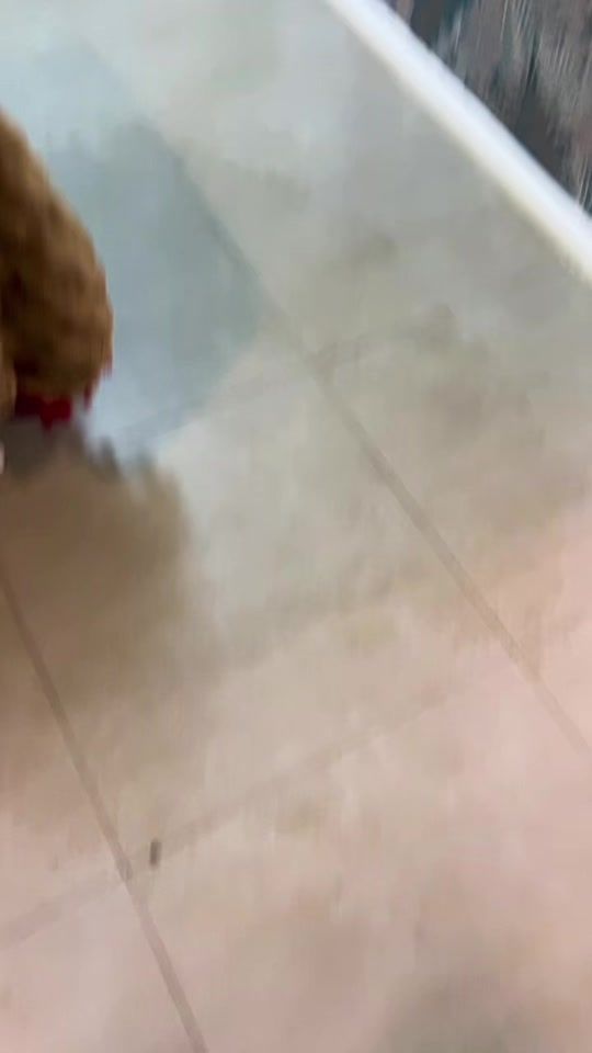 TikTok video thumbnail by nellynelly285