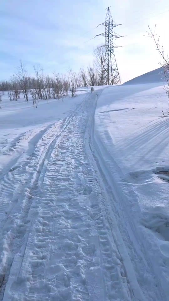TikTok video thumbnail by ekst86