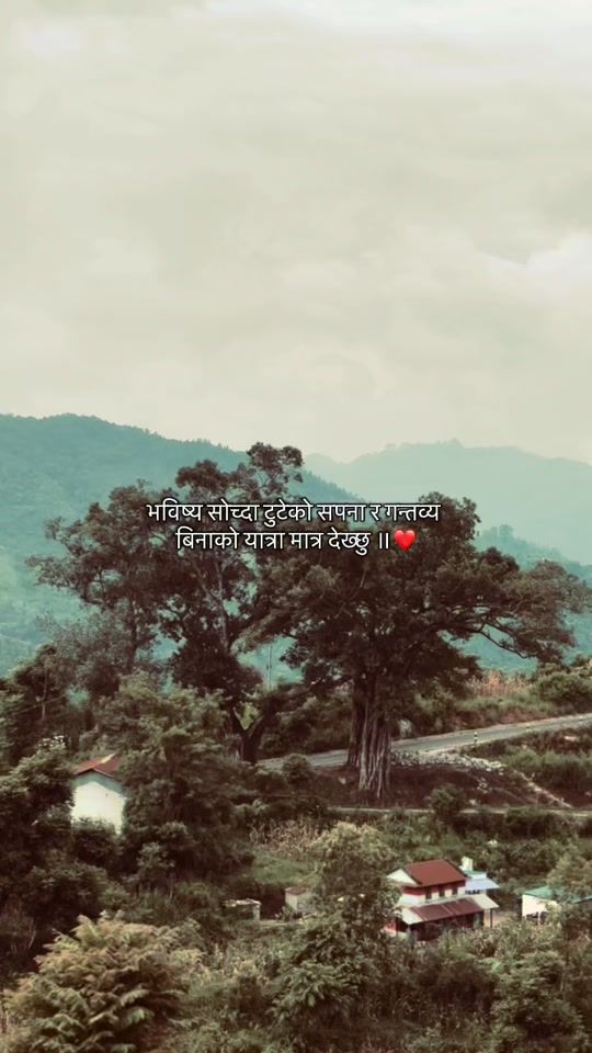 TikTok video thumbnail by soreyx29