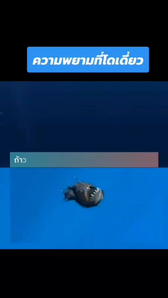 TikTok video thumbnail by tv.man247