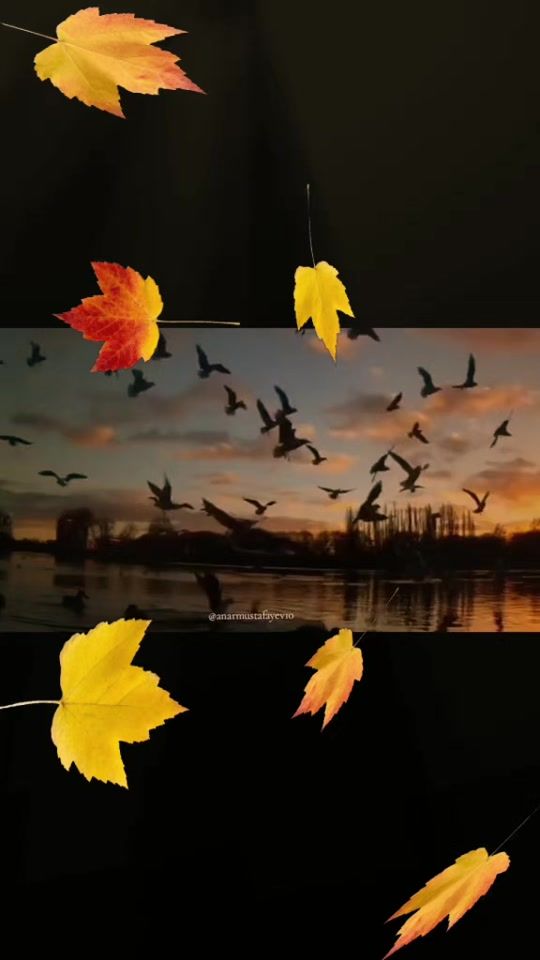 TikTok video thumbnail by anarmustafayev10