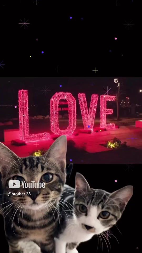 TikTok video thumbnail by bun.1225