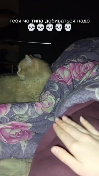 TikTok video thumbnail by kawaiishi67