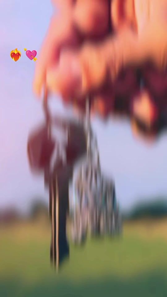 TikTok video thumbnail by amisale44