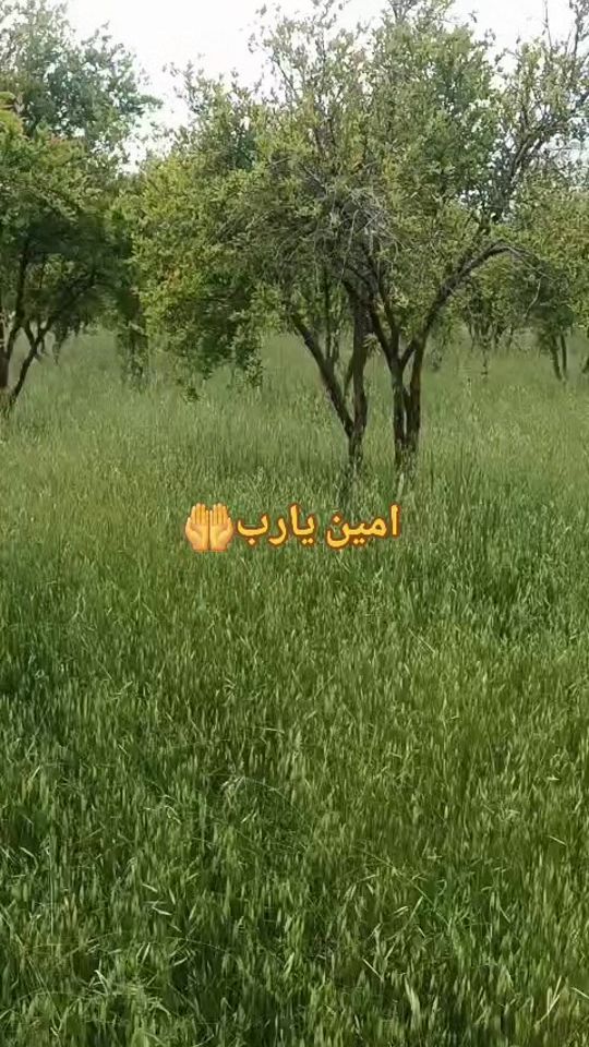 TikTok video thumbnail by user2vd3qtde7d1