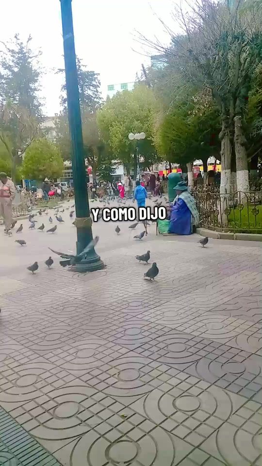 TikTok video thumbnail by dulcinea__34