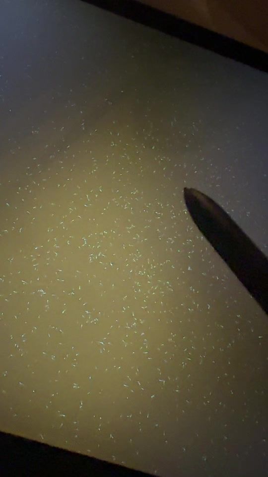 TikTok video thumbnail by sxzk111