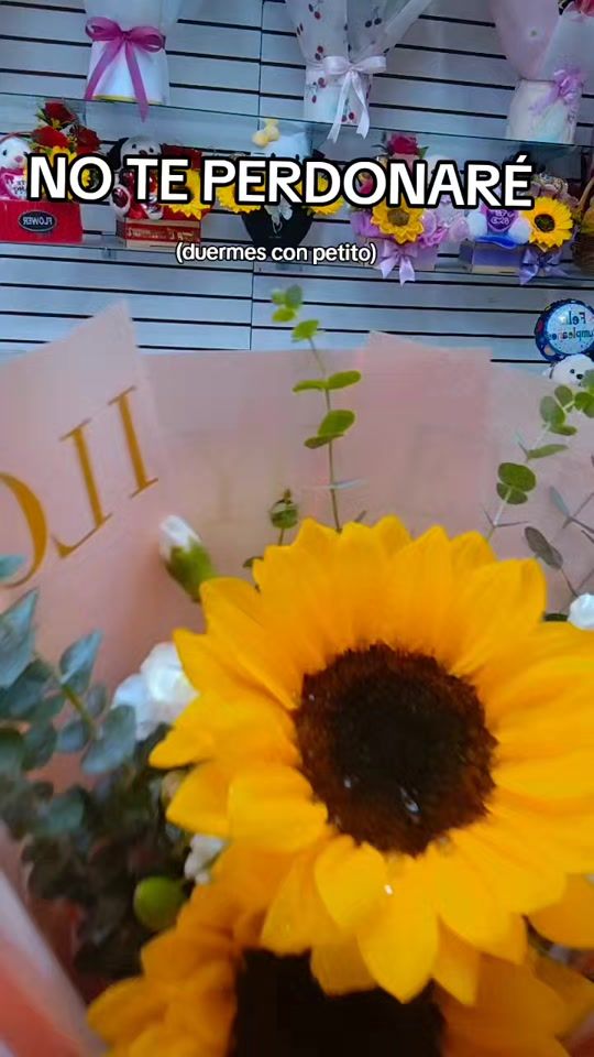 TikTok video thumbnail by gotitasderocio_fl