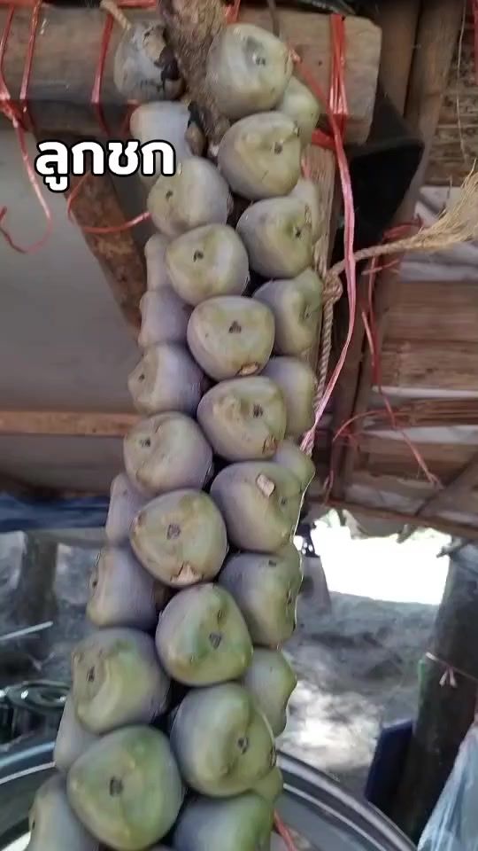 TikTok video thumbnail by aromatherapycandles_888
