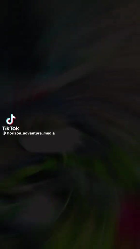 TikTok video thumbnail by alex_the_farmerr