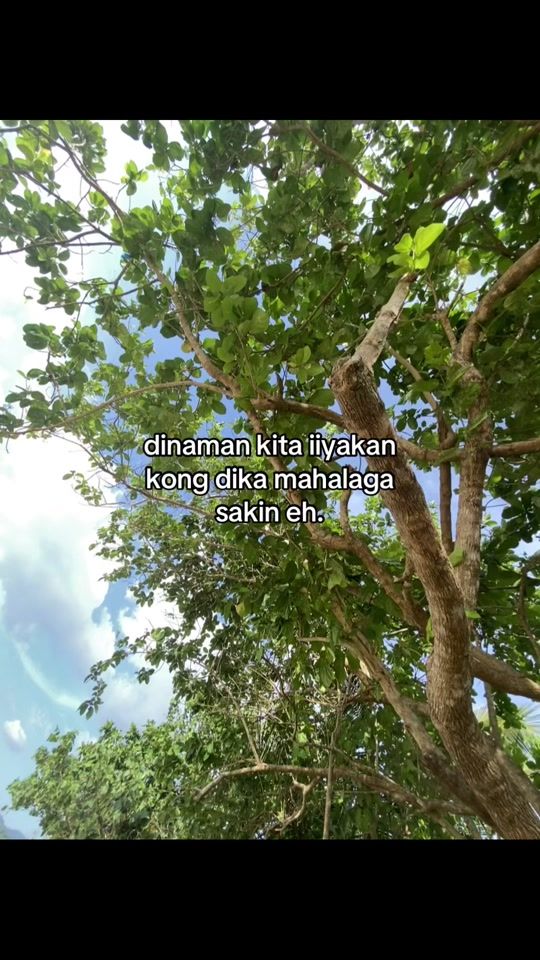 TikTok video thumbnail by its.lyka6