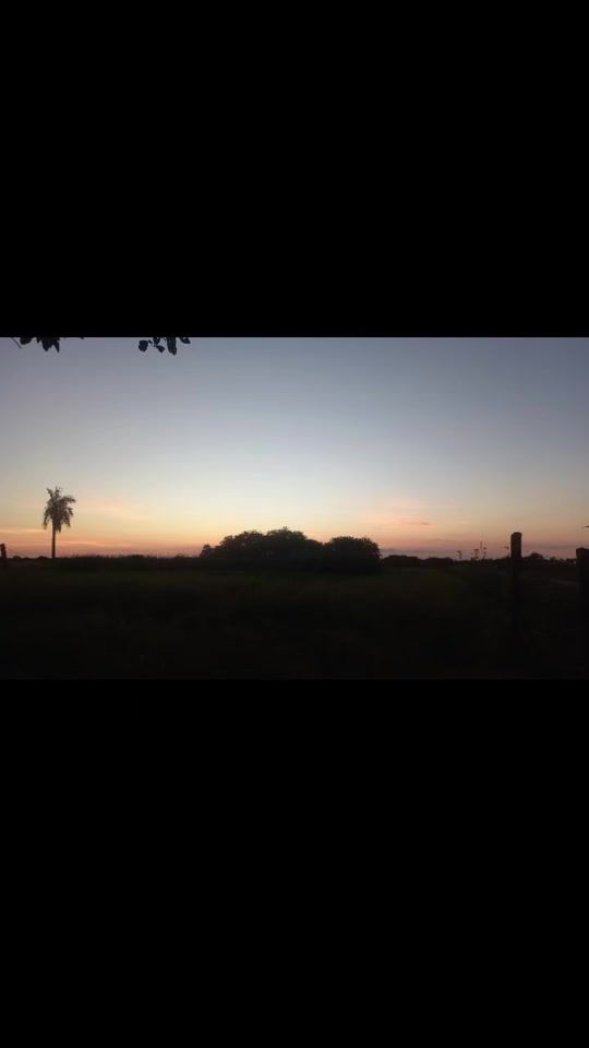 TikTok video thumbnail by hernanjara42