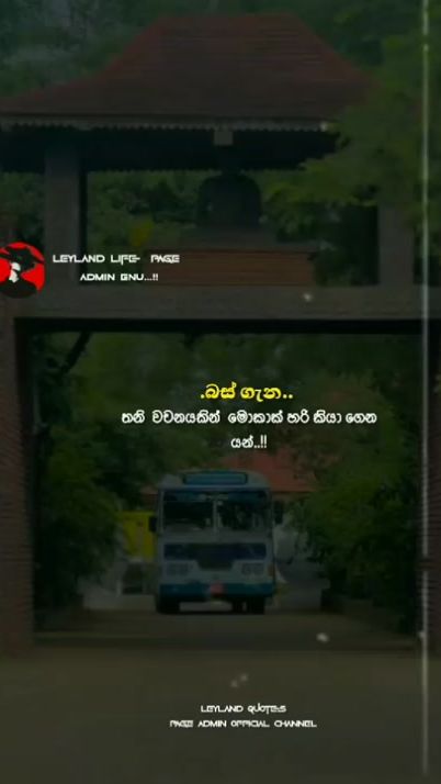 TikTok video thumbnail by leylandlife3