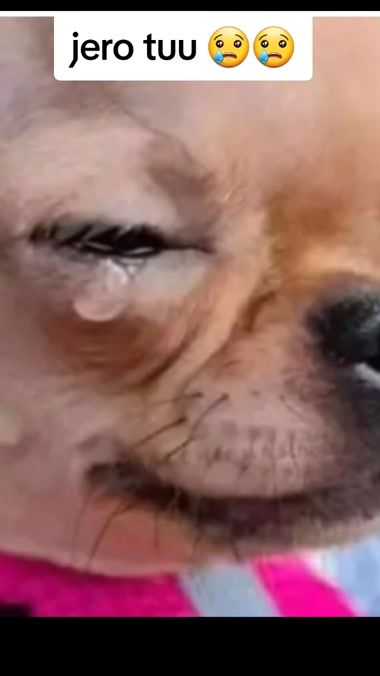 TikTok video thumbnail by mc.bal
