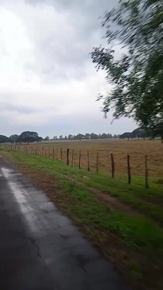 TikTok video thumbnail by carlettignacio