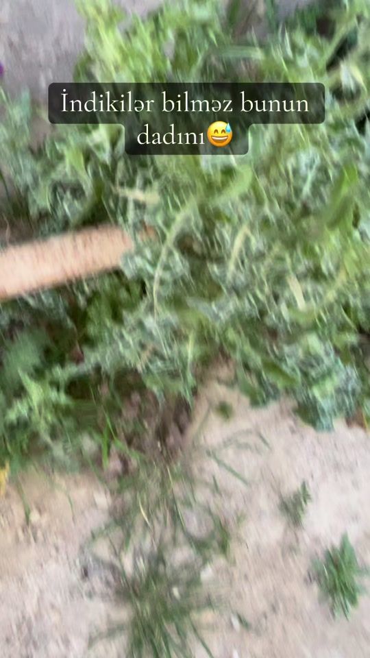 TikTok video thumbnail by xonca.jasmin