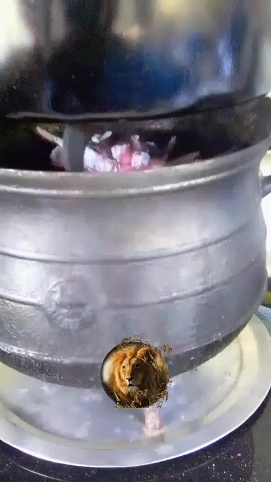 TikTok video thumbnail by ning.vikash