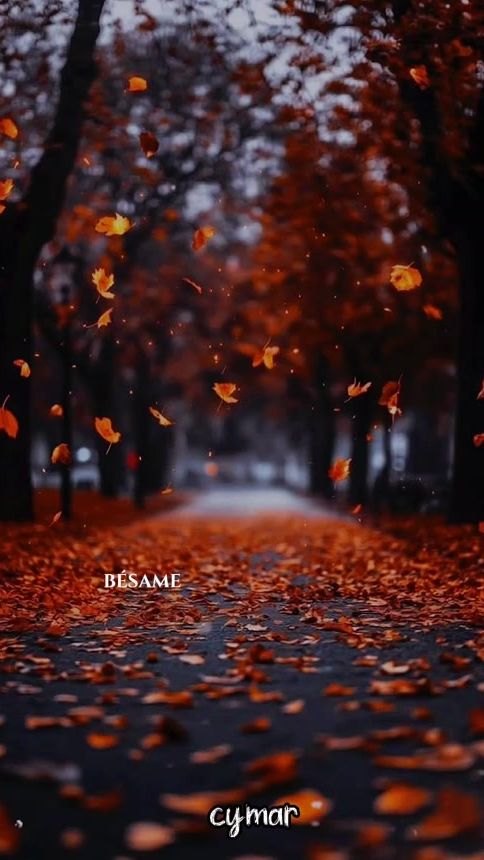 TikTok video thumbnail by cymar.rc
