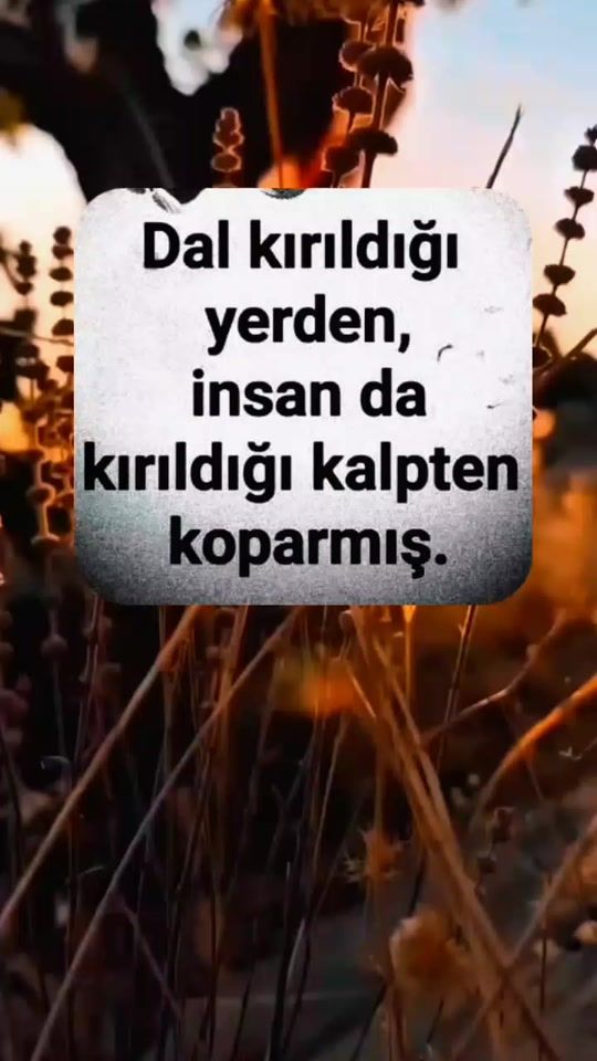 TikTok video thumbnail by kalp_goz_01