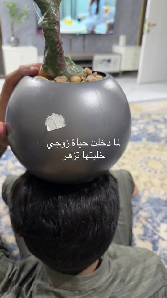 TikTok video thumbnail by tolab71