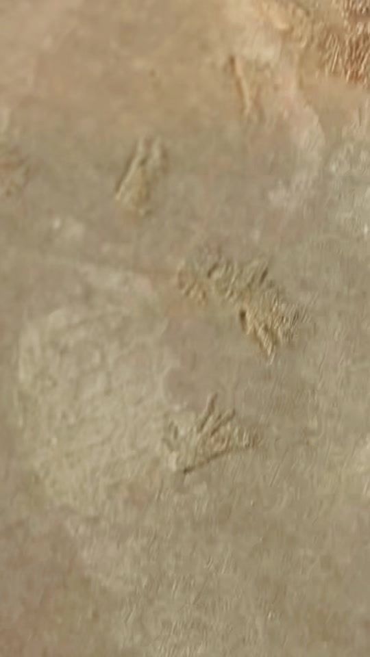 TikTok video thumbnail by assapaimusicproduction