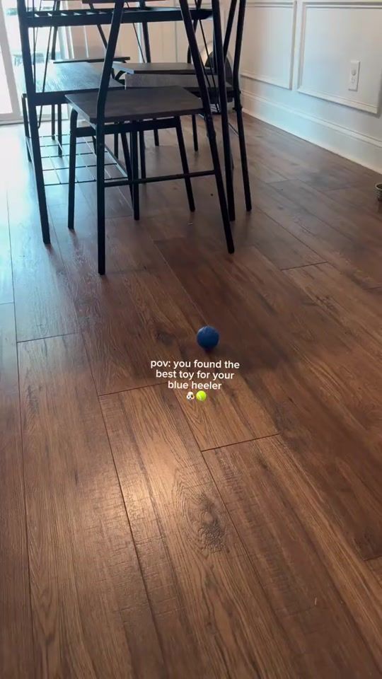 TikTok video thumbnail by petlove970