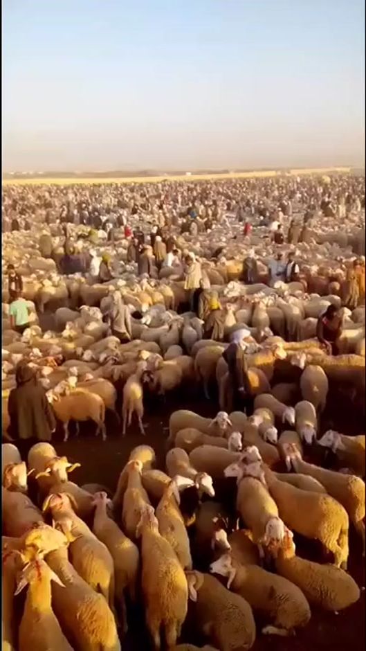TikTok video thumbnail by rayan_48w