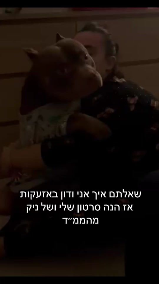 TikTok video thumbnail by the.real.donnn