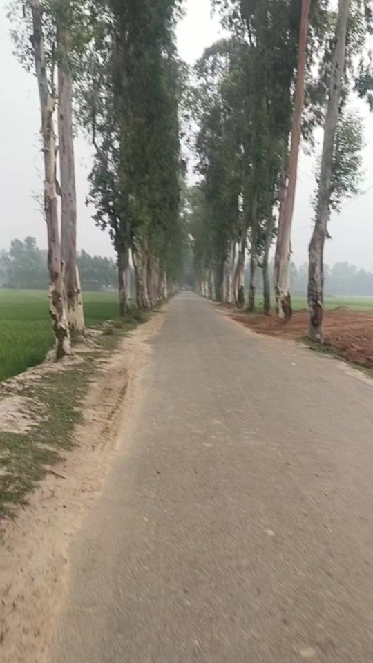 TikTok video thumbnail by user919473662