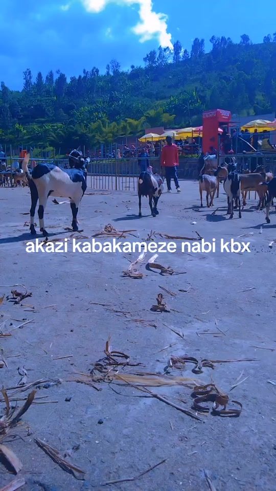 TikTok video thumbnail by user8159476993148