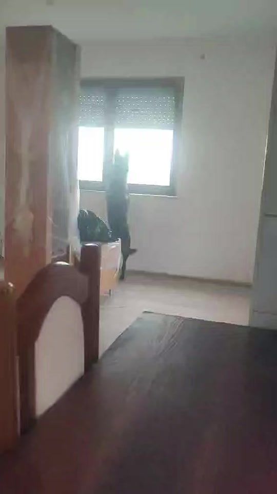 TikTok video thumbnail by welderwelding38