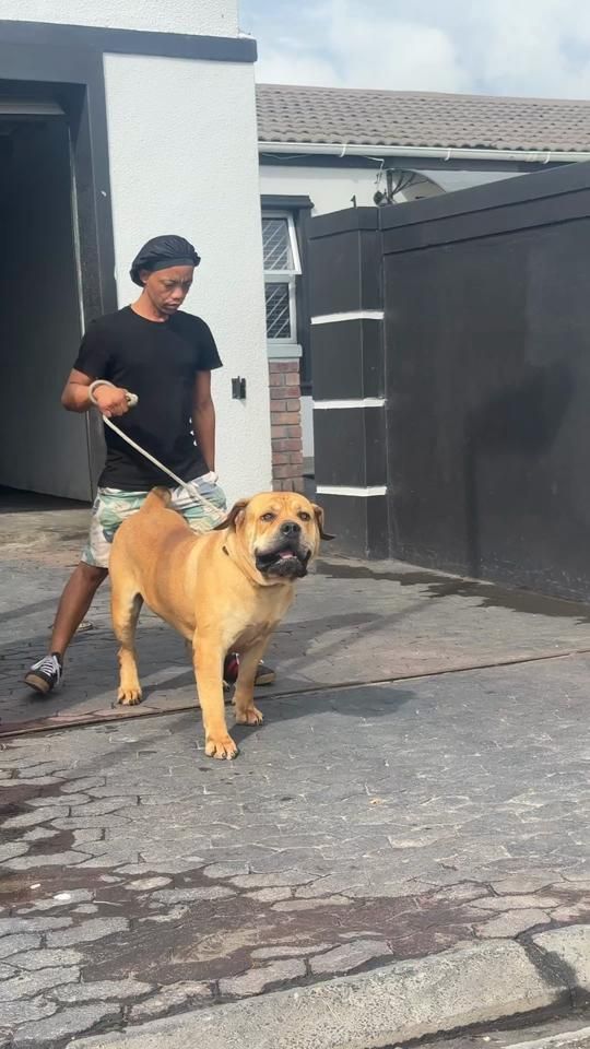 TikTok video thumbnail by narcoboerboels