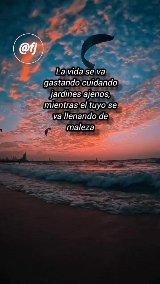 TikTok video thumbnail by fernando_jose0202