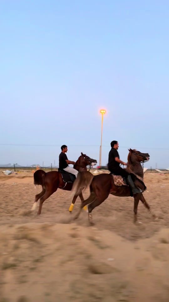 TikTok video thumbnail by emalansarii