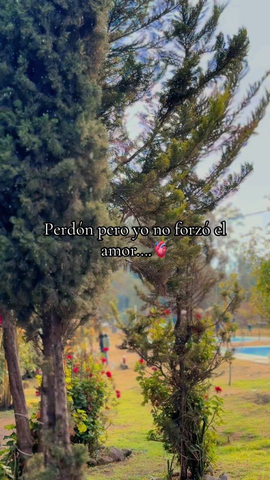 TikTok video thumbnail by diianaberenice12