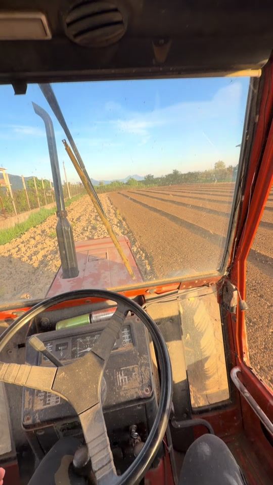 TikTok video thumbnail by agro_albion1