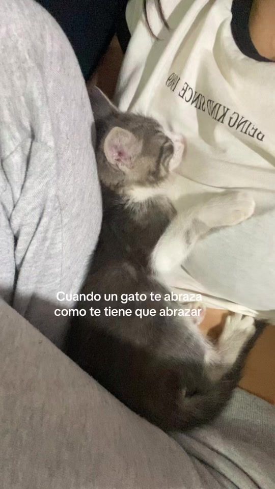 TikTok video thumbnail by allison_perdomo_