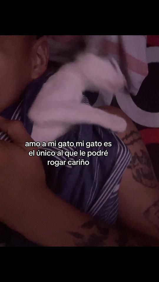 TikTok video thumbnail by gonchita_vvm